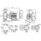 BL 32/250.1-11/2 одноступенчатый центробежный с сухим ротором блочного типа - техническая схема, фото