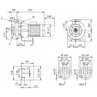 Wilo BL 32/150-3/2-R Одноступенчатый центробежный насос с сухим ротором блочного типа